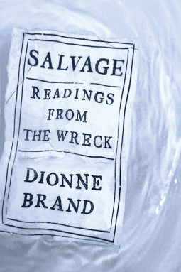 Salvage: Readings from the Wreck - Dionne Brand