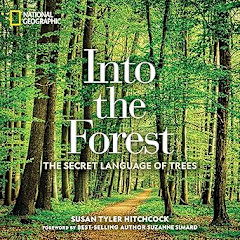 Into the Forest: The Secret Language of Trees