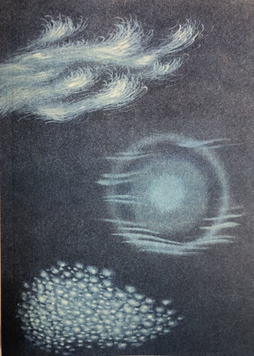 Bird Machine - Nicholas Laughlin