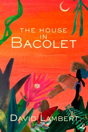 The House in Bacolet - David Lambert